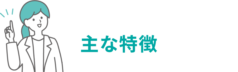 主な特徴