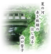 6月の写真