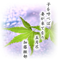 5月の写真
