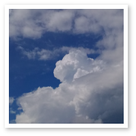 9月の写真