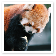 10月の写真