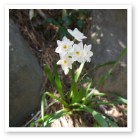 3月の写真