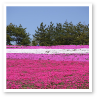 5月の写真