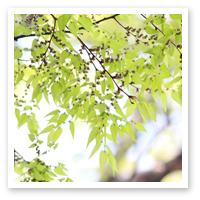 5月の写真