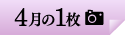 4月の1枚