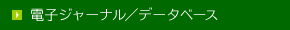 電子ジャーナル／データベース